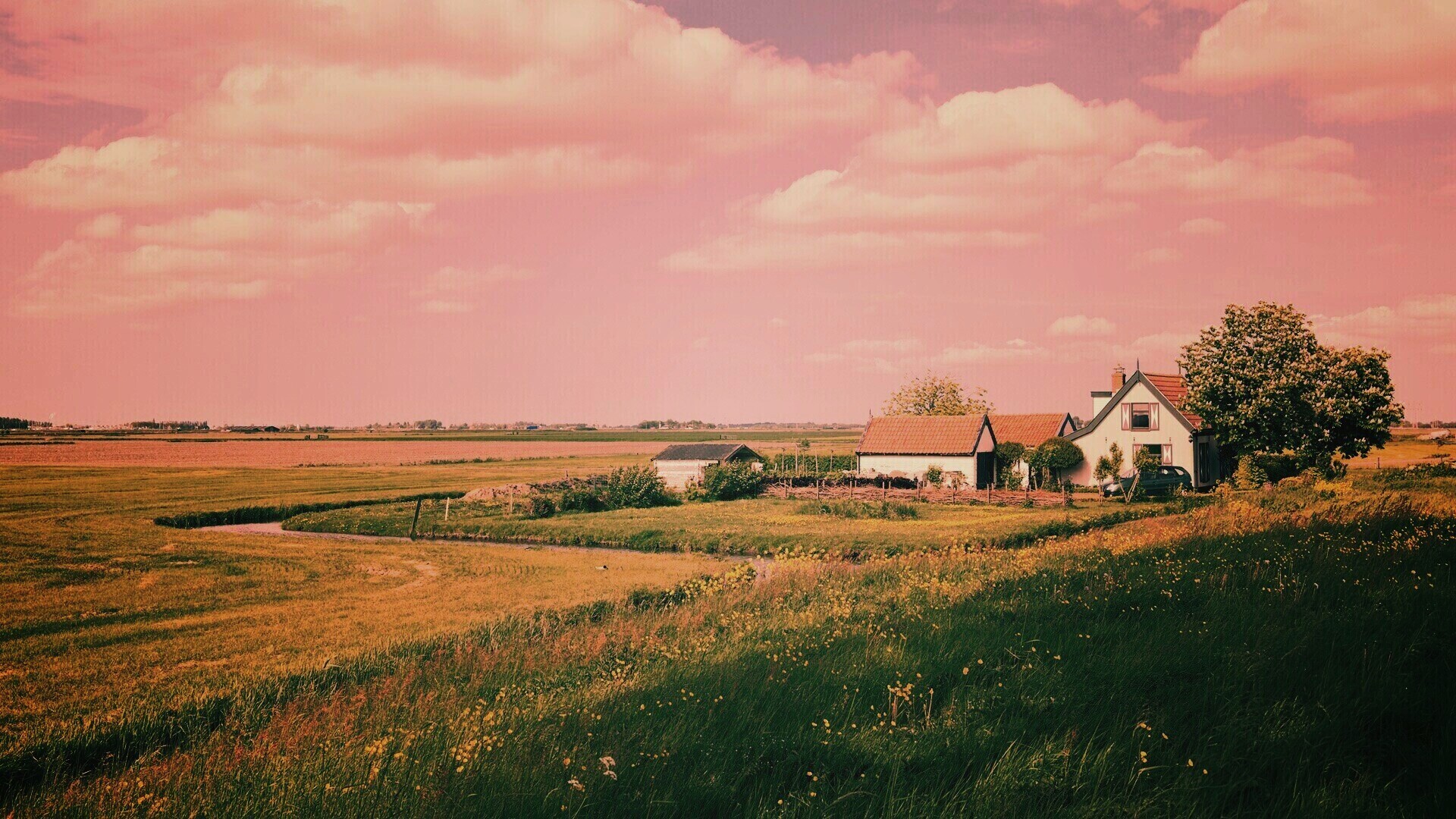 дом на лугу обои