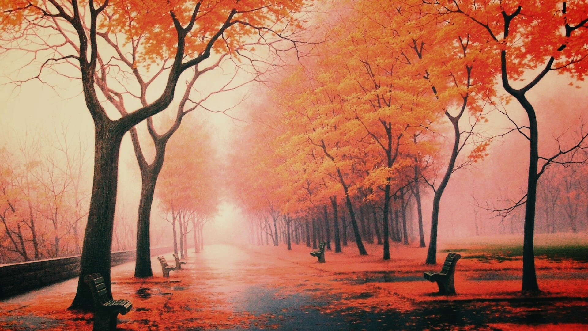 Дорога в осень обои