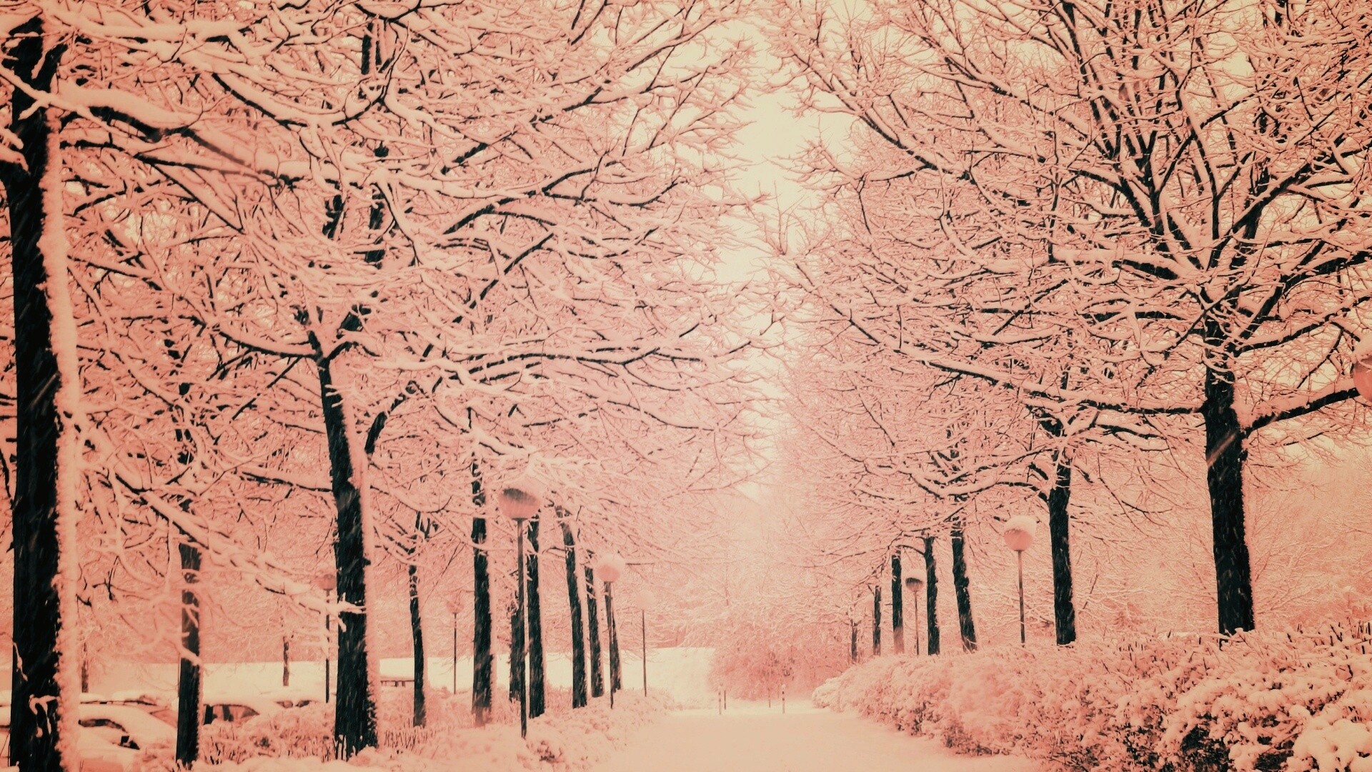 Заснеженная аллея обои