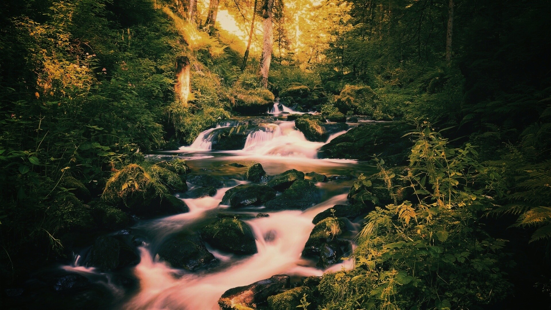 Живописный лесной водопад обои