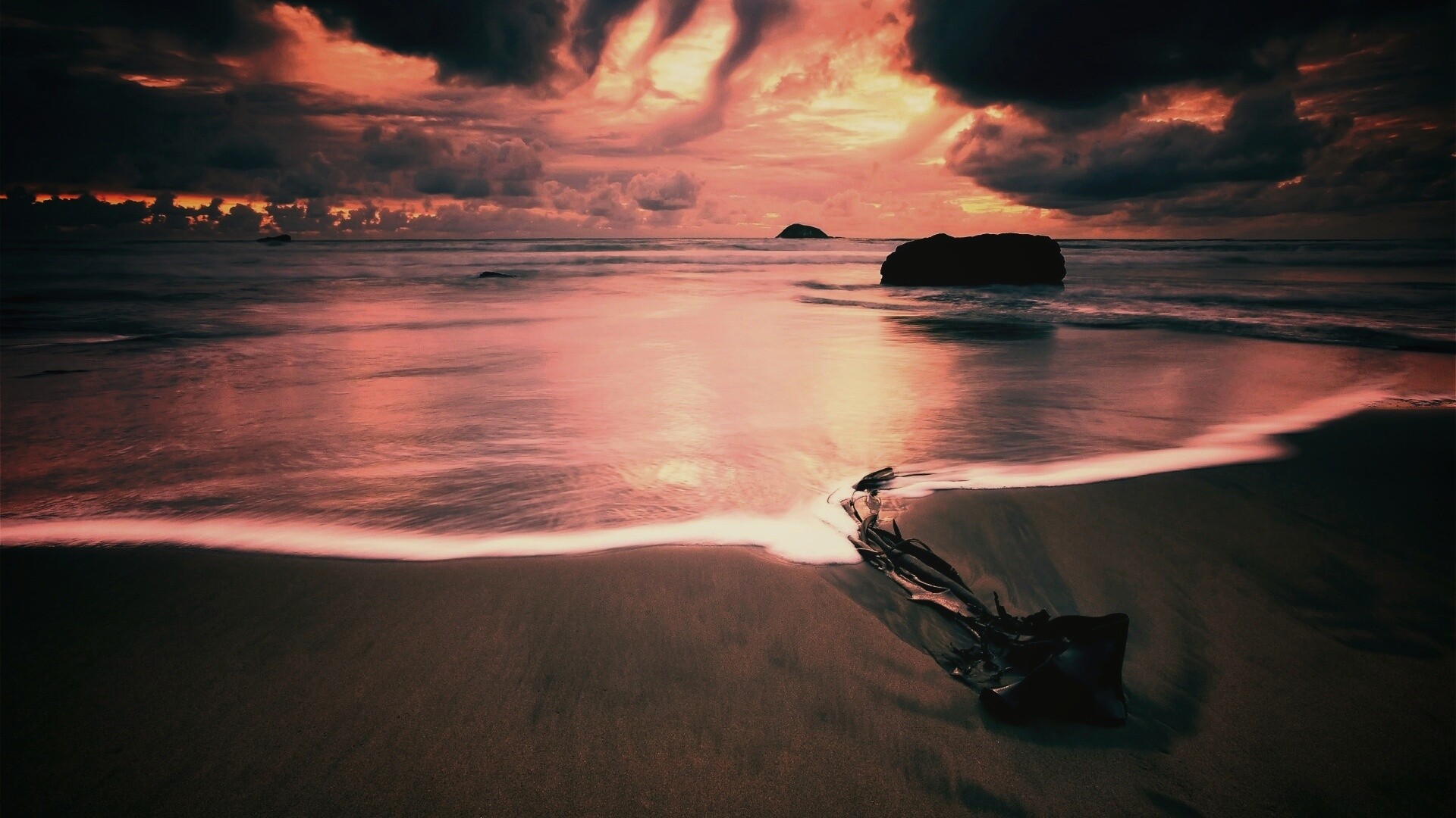 Коряга на пляже обои