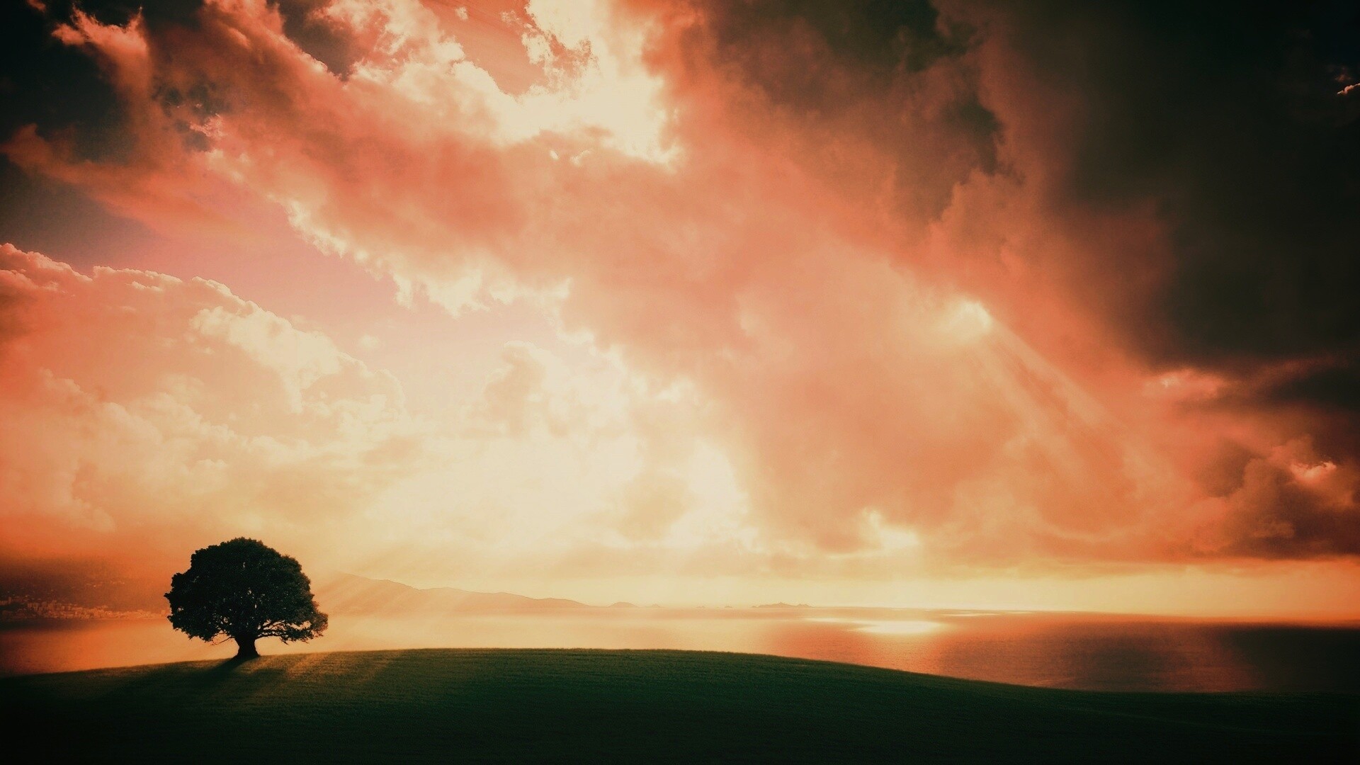 Холм и дерево обои