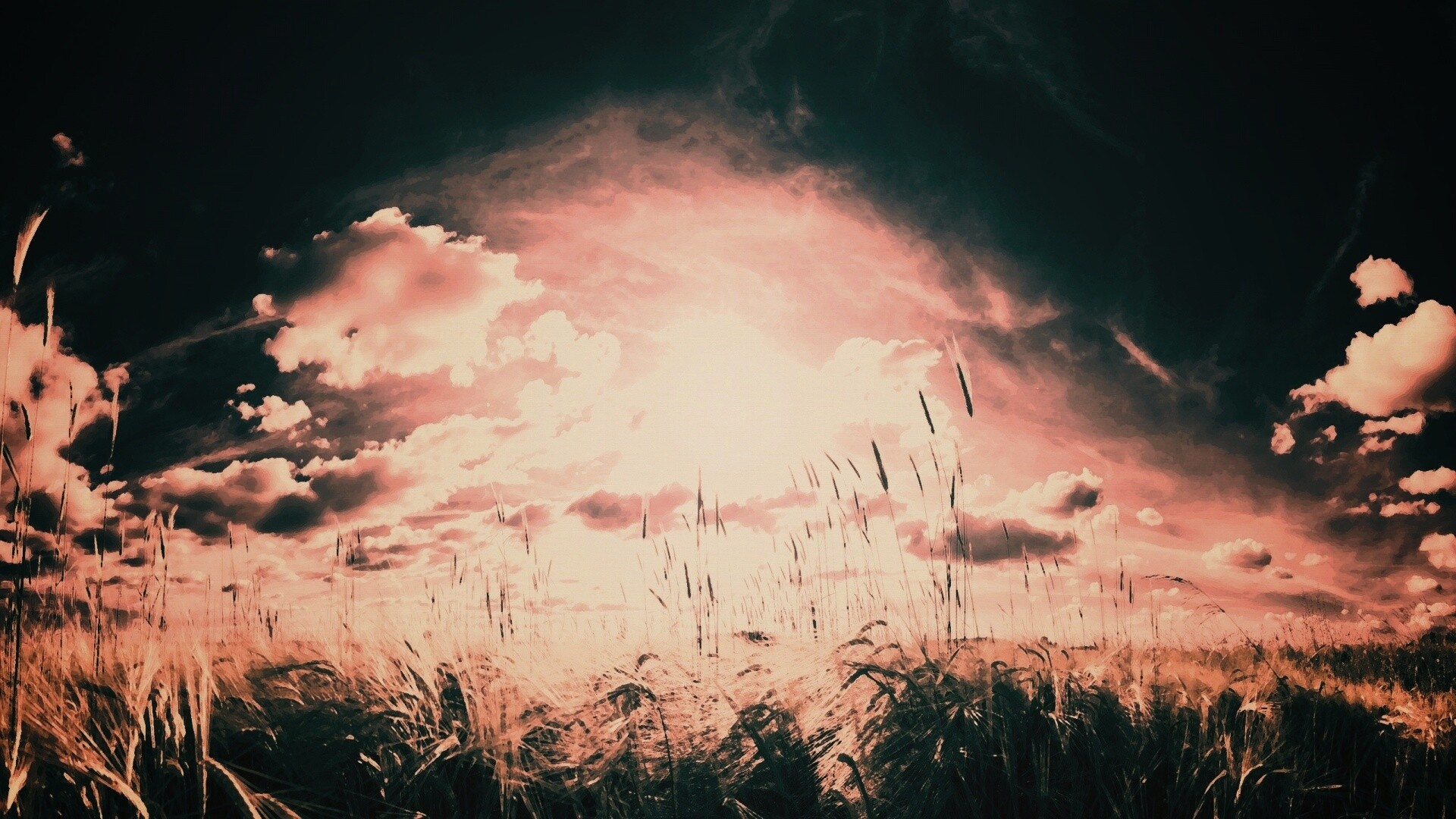 Сюрреалистичная трава обои