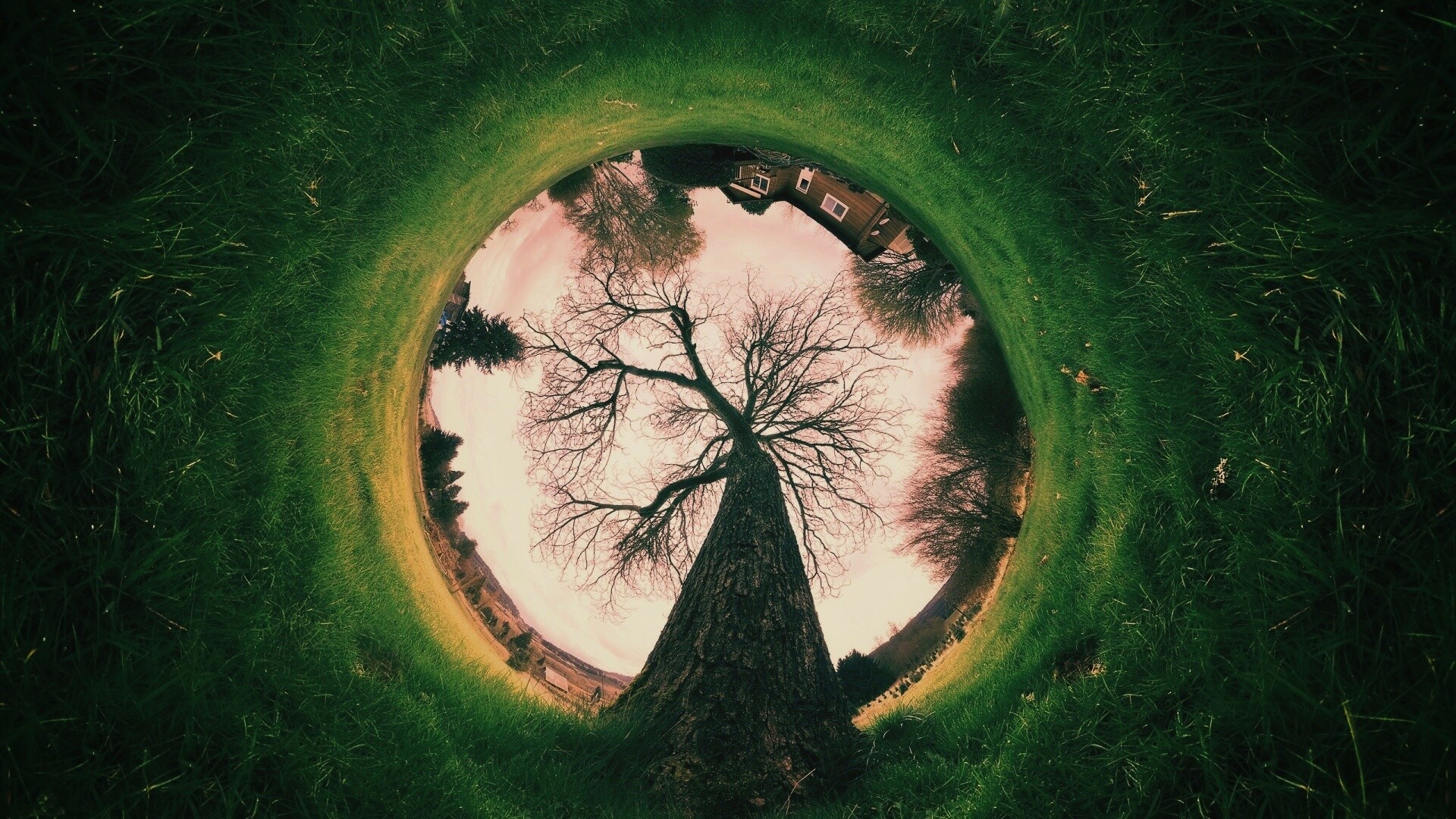 Другой взгляд на мир обои