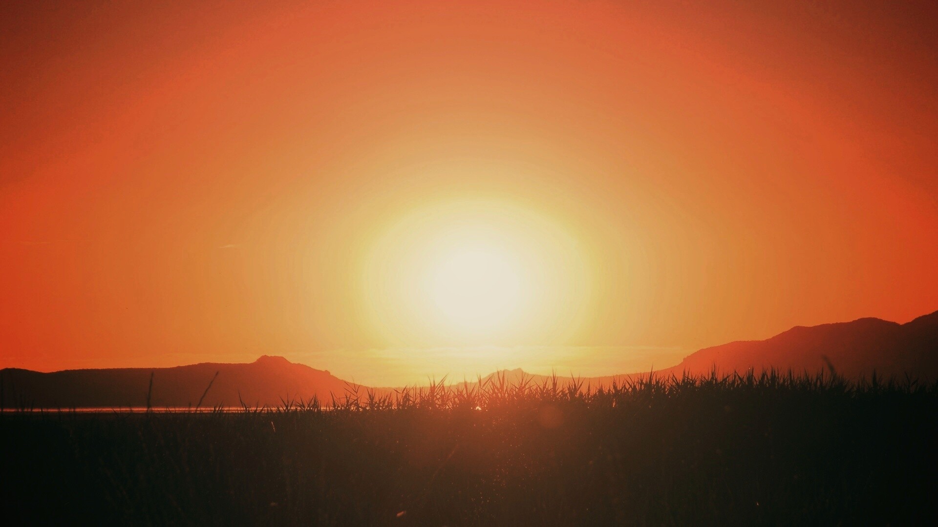 Сельский закат обои