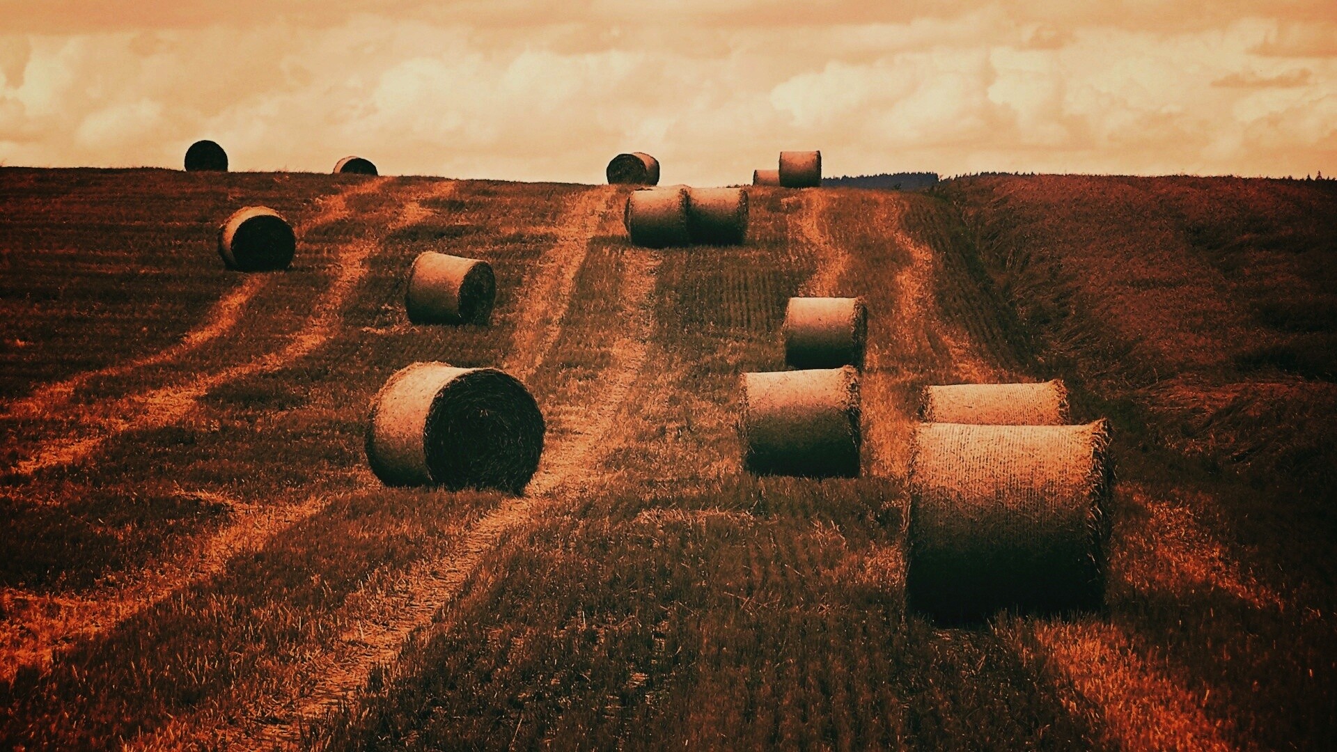 Уборка сена с поля обои