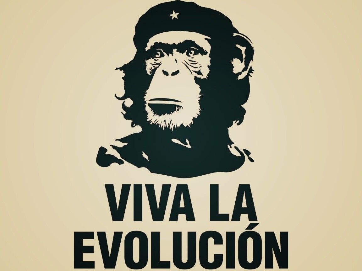 Viva la evolucion обои
