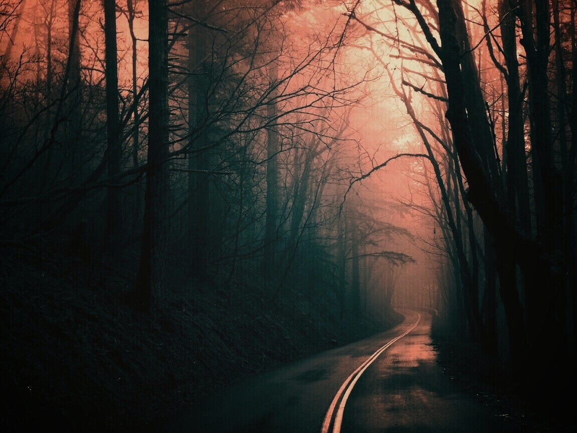 В туман обои