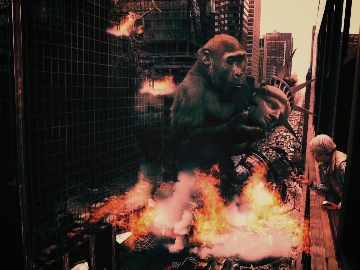 Обезьяна терроизирует Нью-Йорк обои