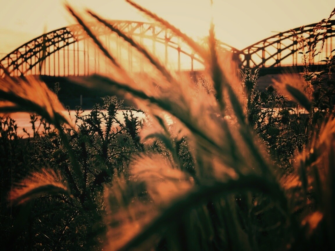 Железнодорожный мост обои