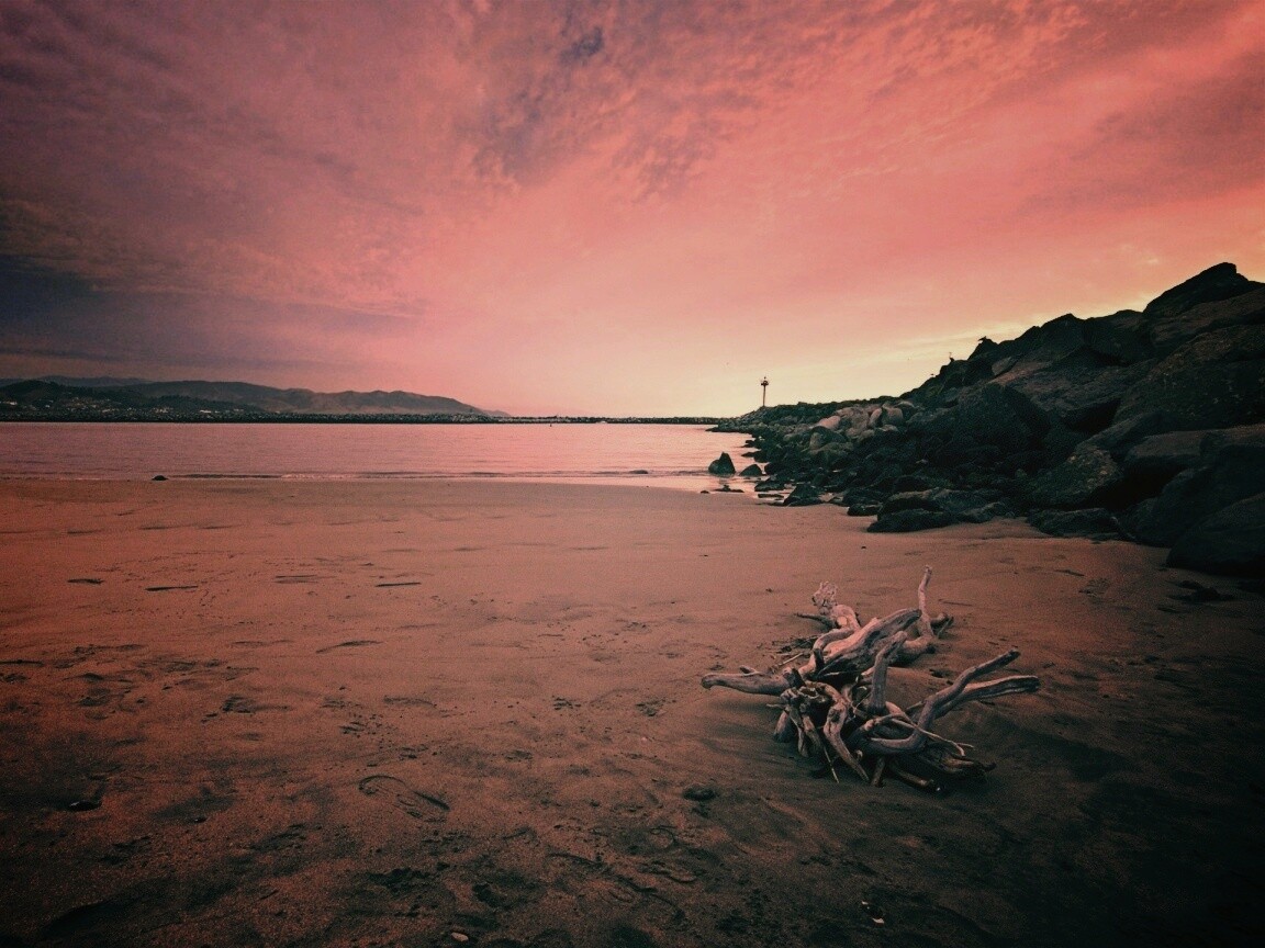 Коряга не берегу обои