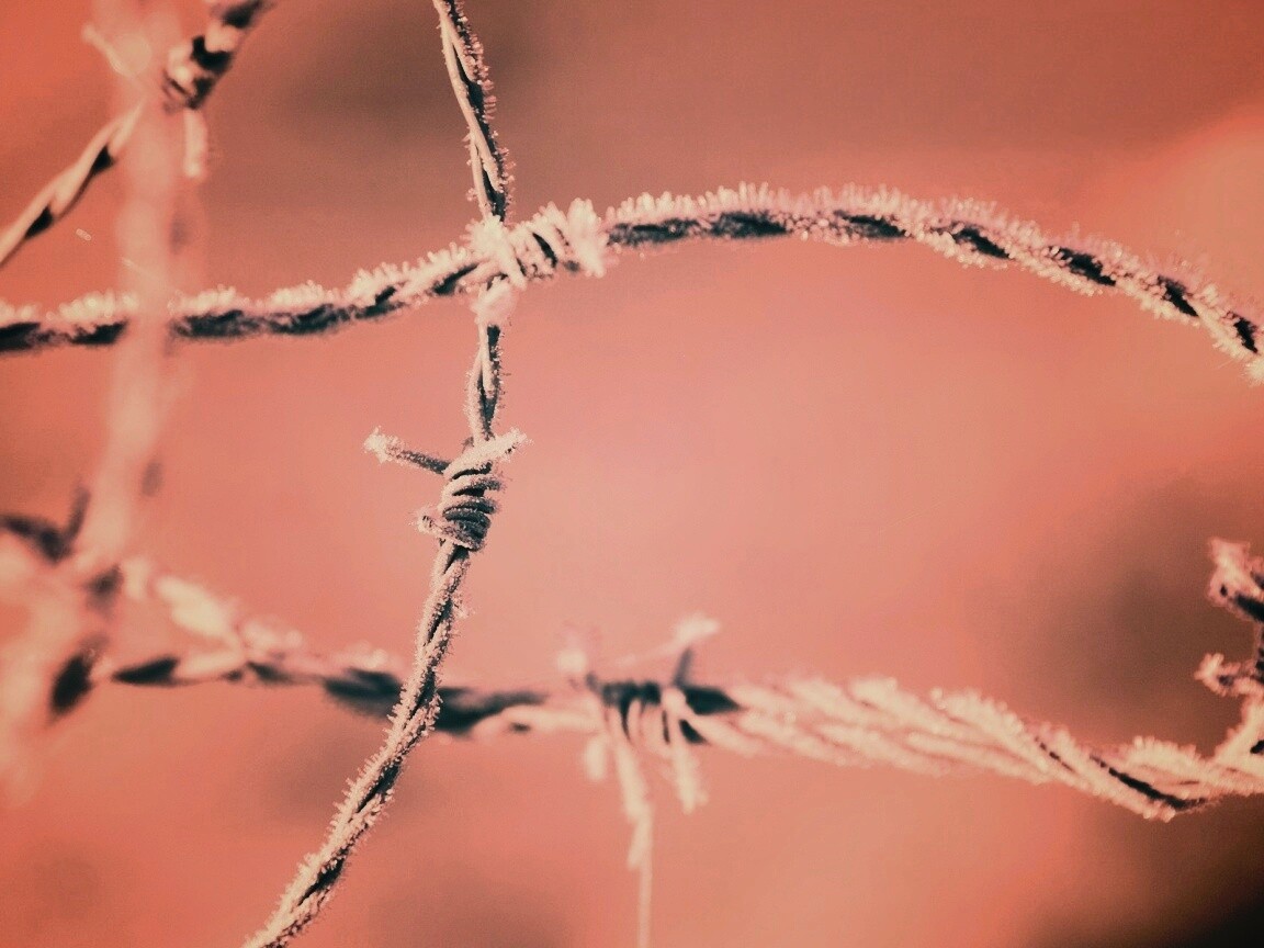Замерзшая колючая проволока обои
