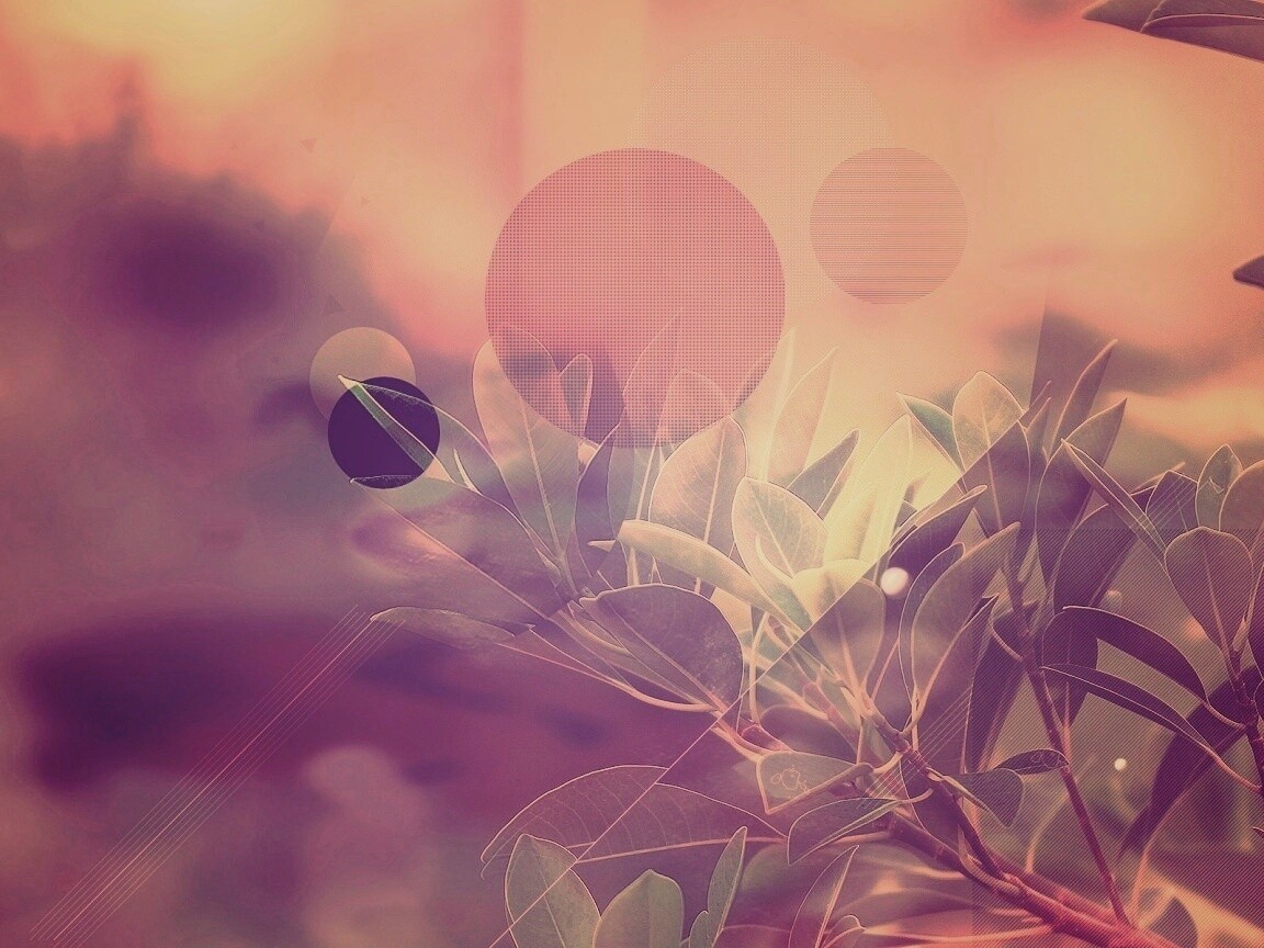 Синий фильтр с кргуами на фото листьев обои