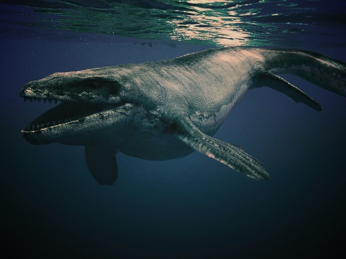 Морской динозавр обои