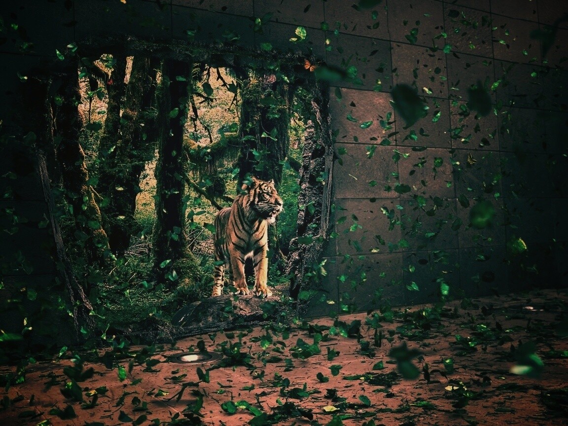 Портал в джунги обои