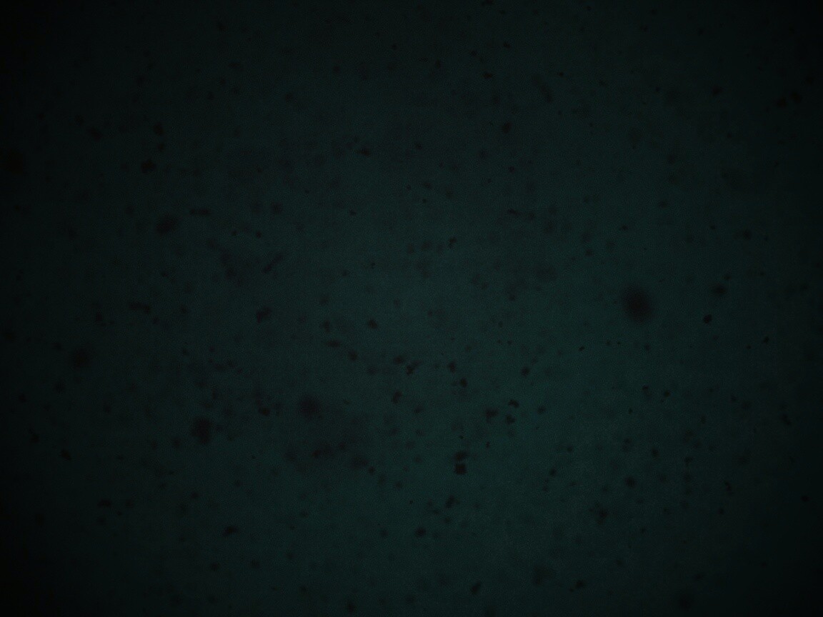 Черные пятна на сером фоне обои