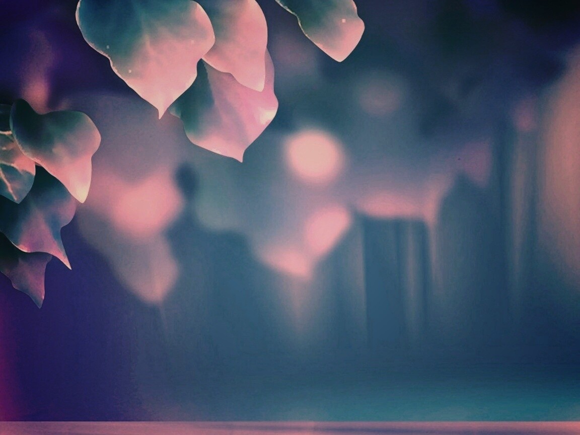 Синие листья обои