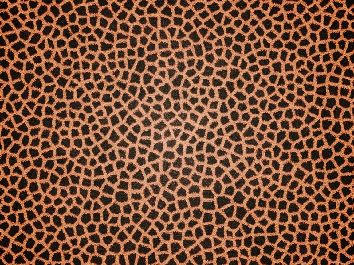 Текстура шкуры жирафа обои