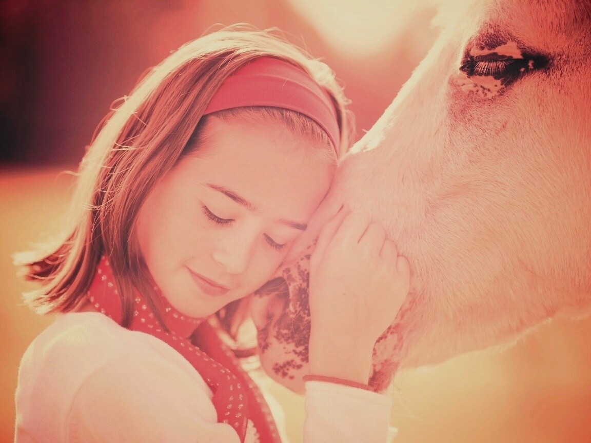 Девочка и лошадь обои