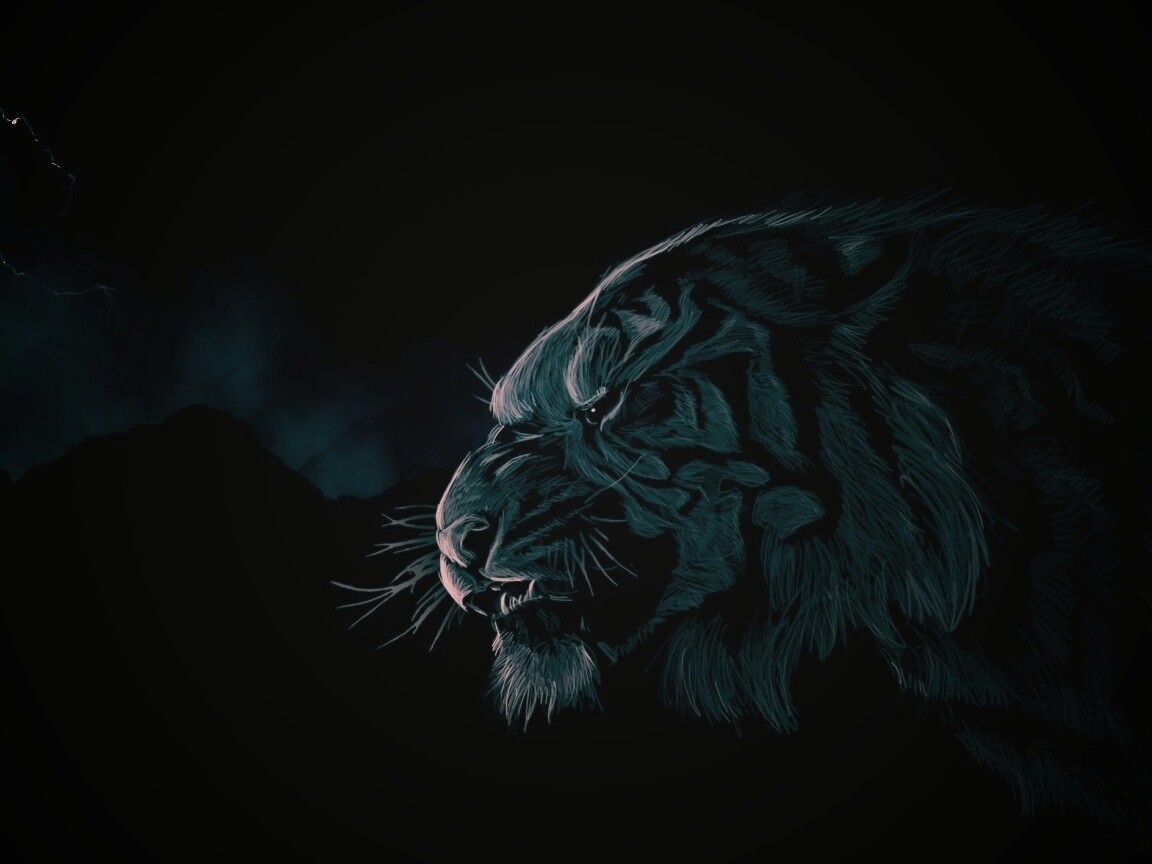 Рисунок грозного тигра обои