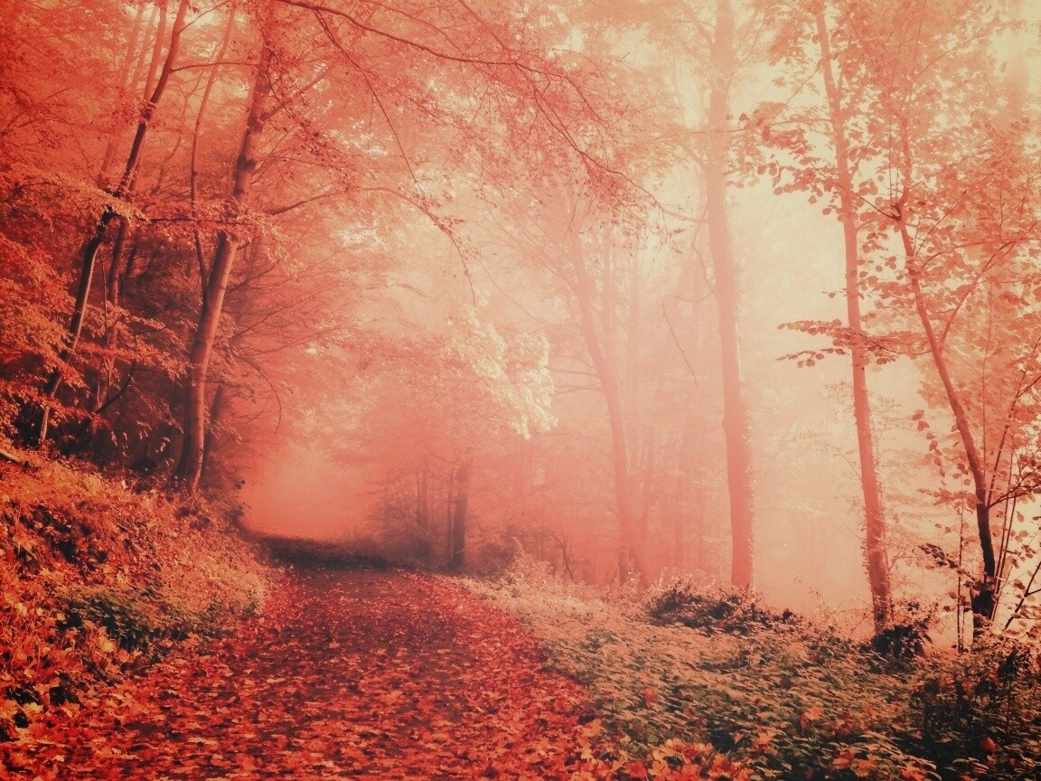Осенний мистический пейзаж обои