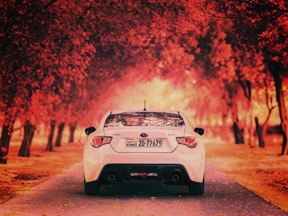 Субару на осенней дороге обои