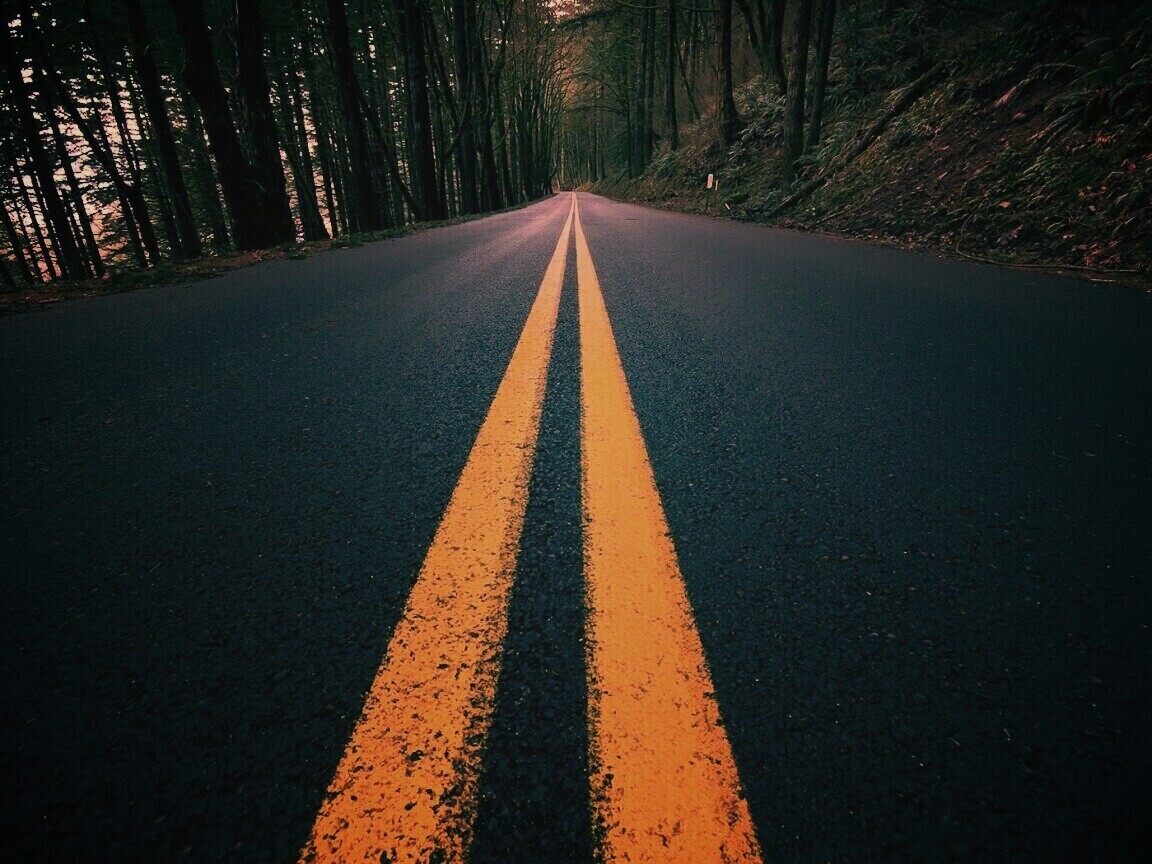 Дорога в лесу обои