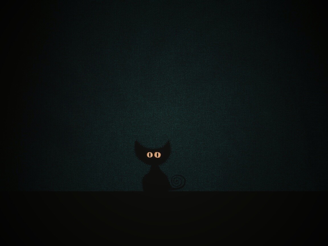 Чёрный кот в ночи обои