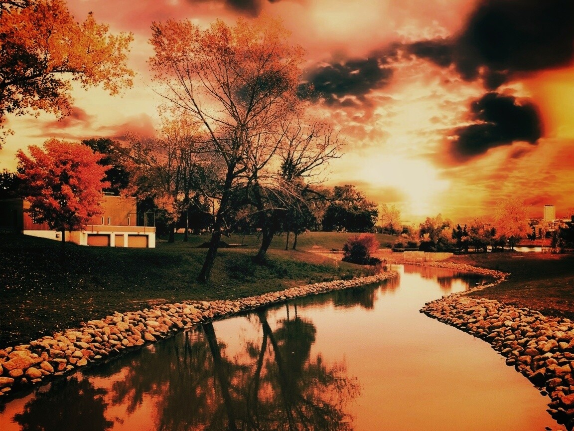 Осенний день в парке обои