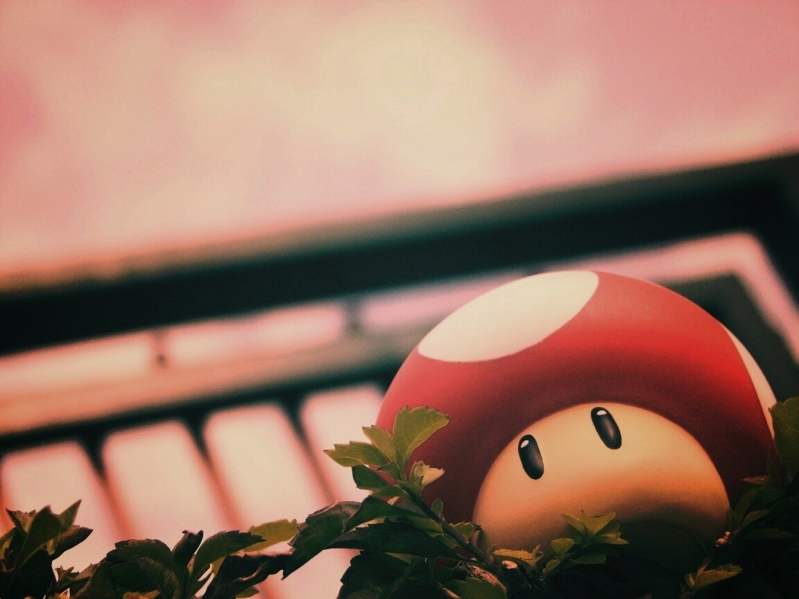 Гриб из Марио обои