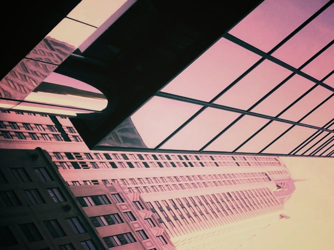 Взгляд вверх обои