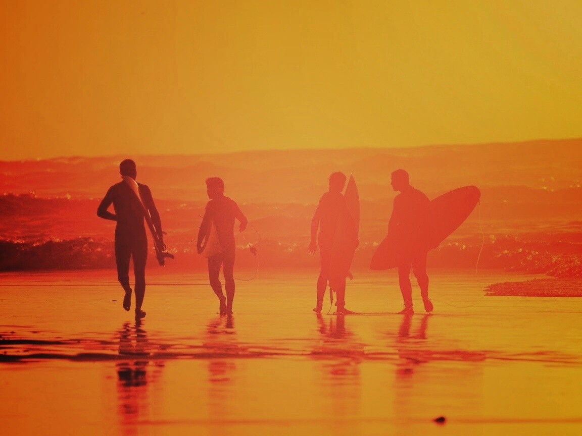 Серфингисты обои