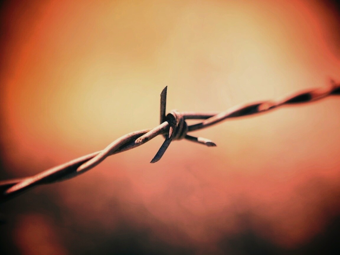 Фото колючей проволоки обои