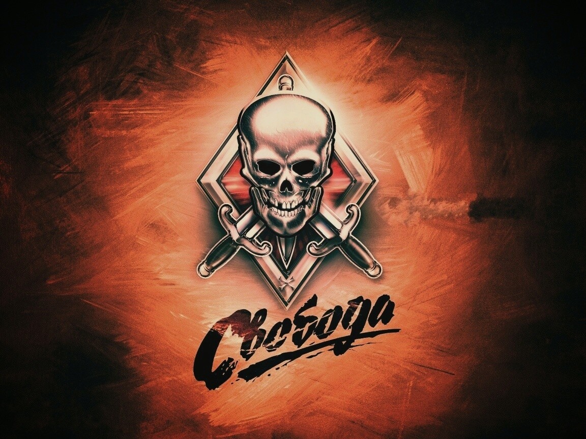 Группировка Свобода из STALKER обои