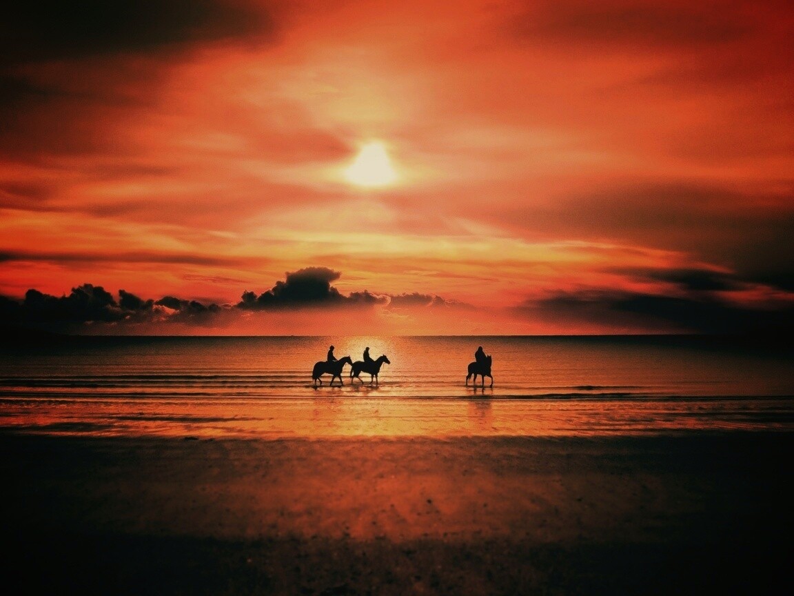 Наездники на закате обои