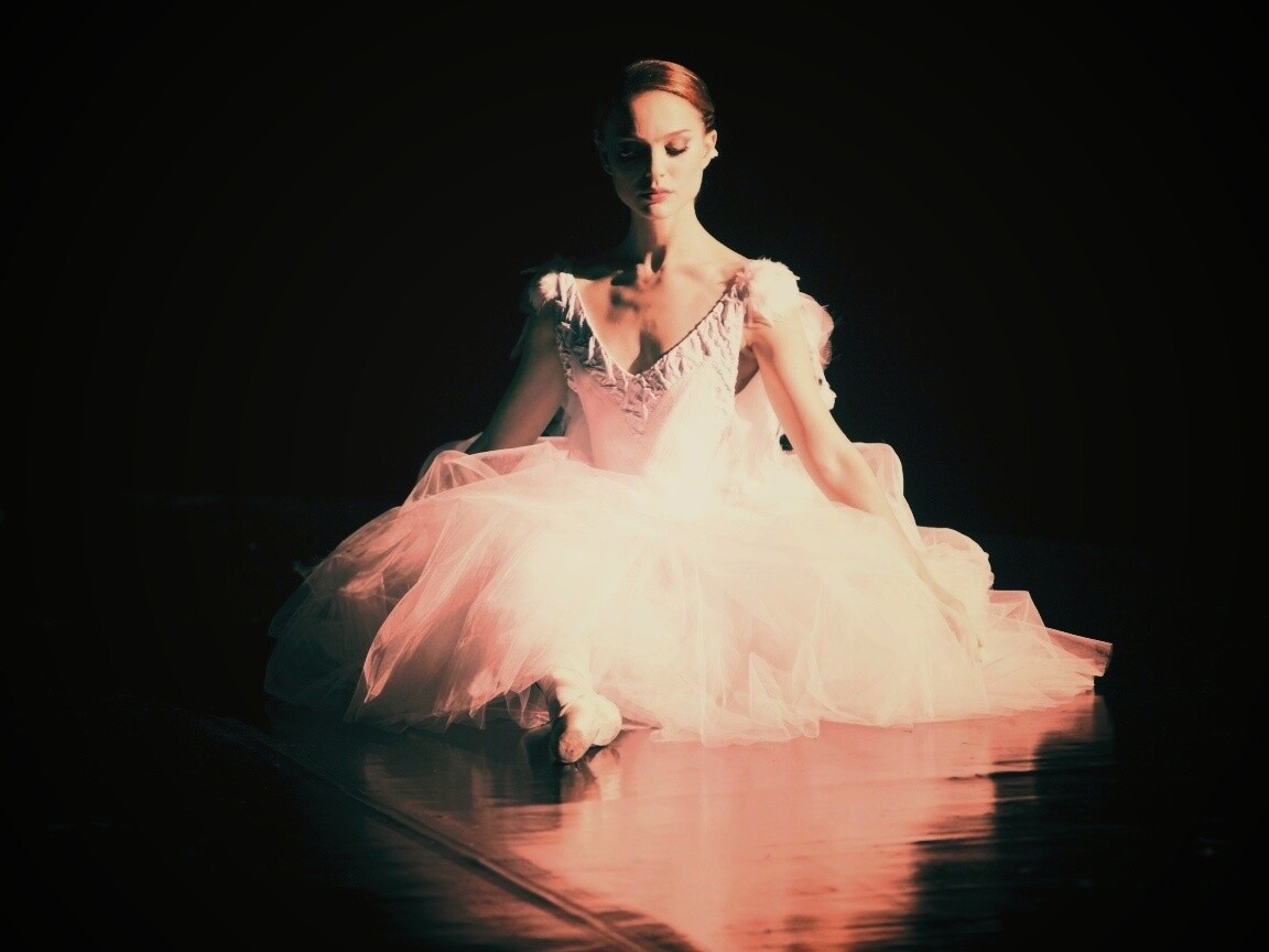 Черный лебедь обои