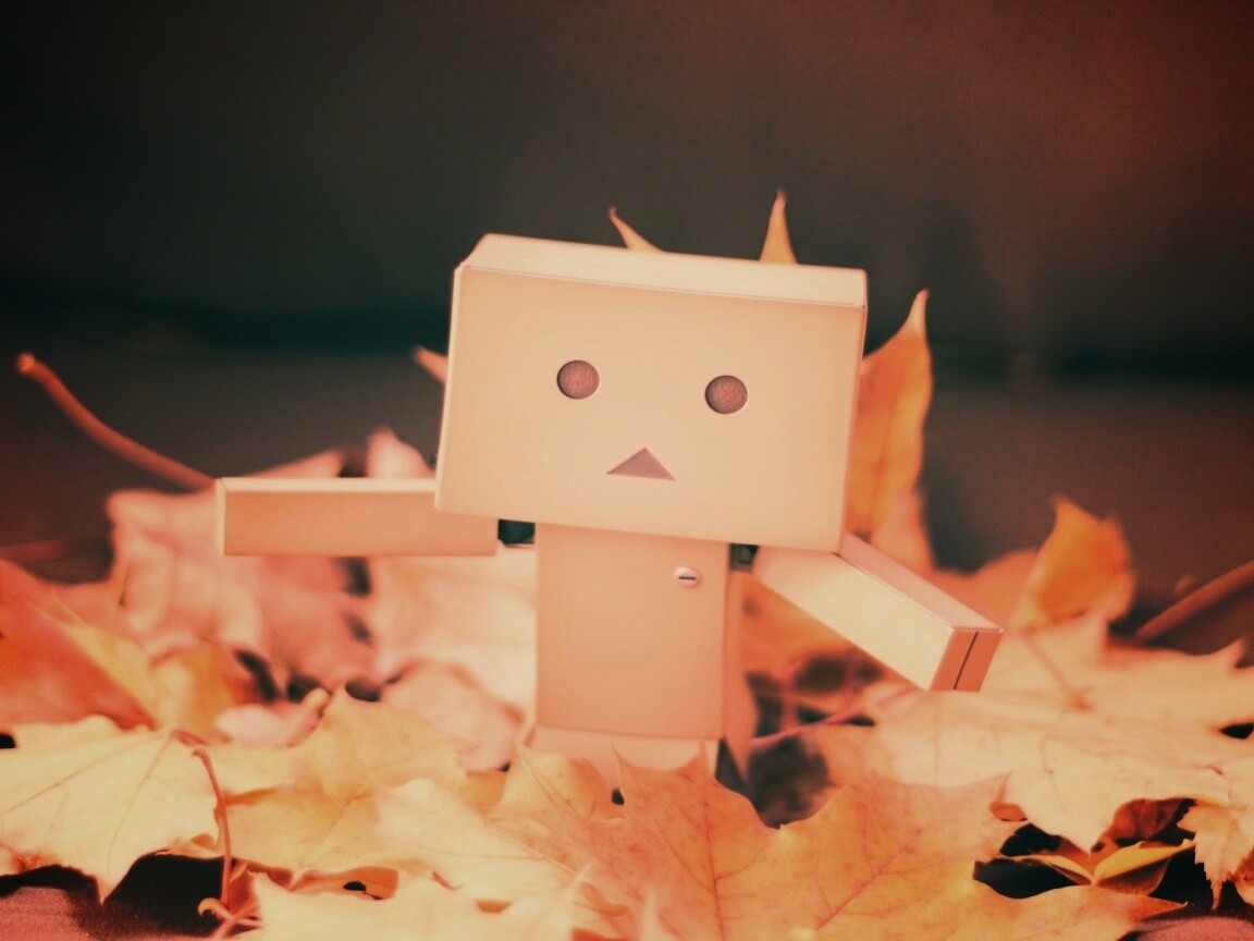  Yotsubato Danbo резвится листьях обои