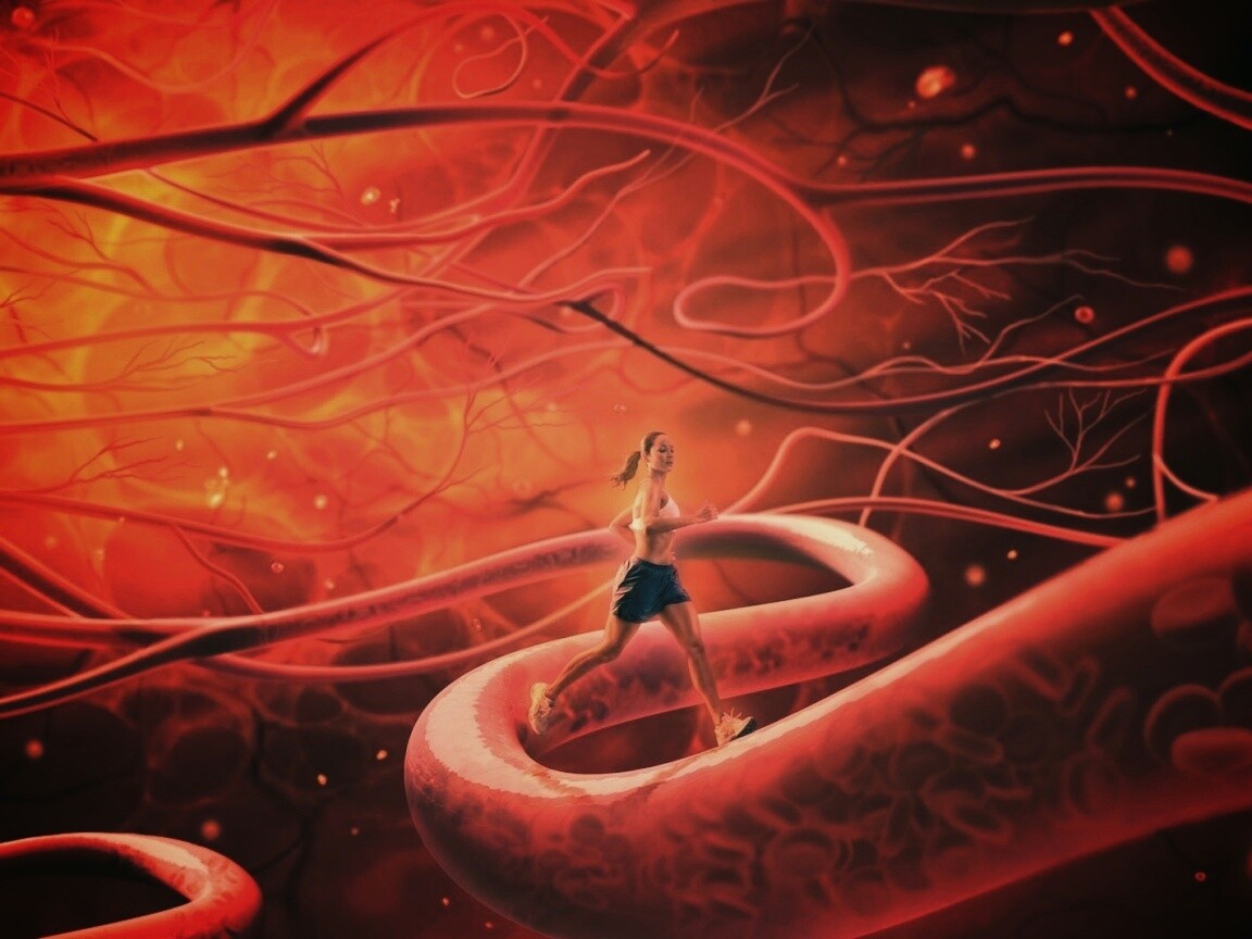 Бег крови обои