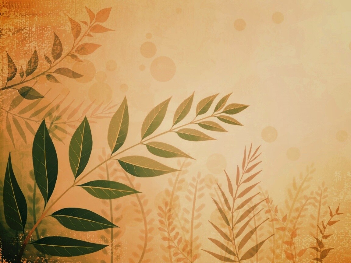 Веточка молодых листьев обои