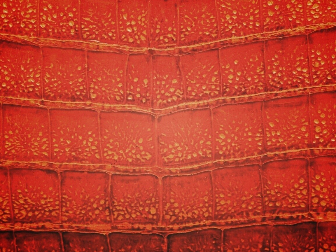 Текстура крокодильей кожи обои