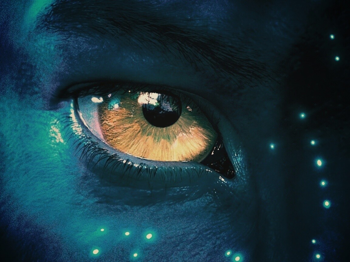 Смотрит прямо в душу обои