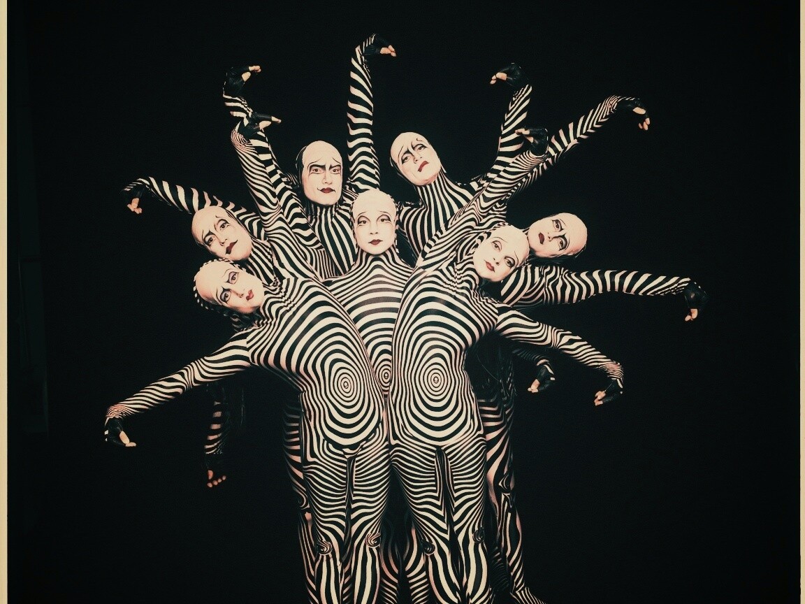 Зеброиды (актеры цирка дю солей) обои