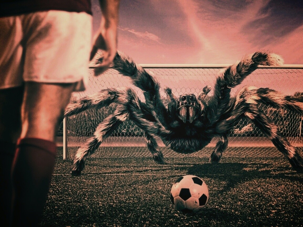 Вратарь обои