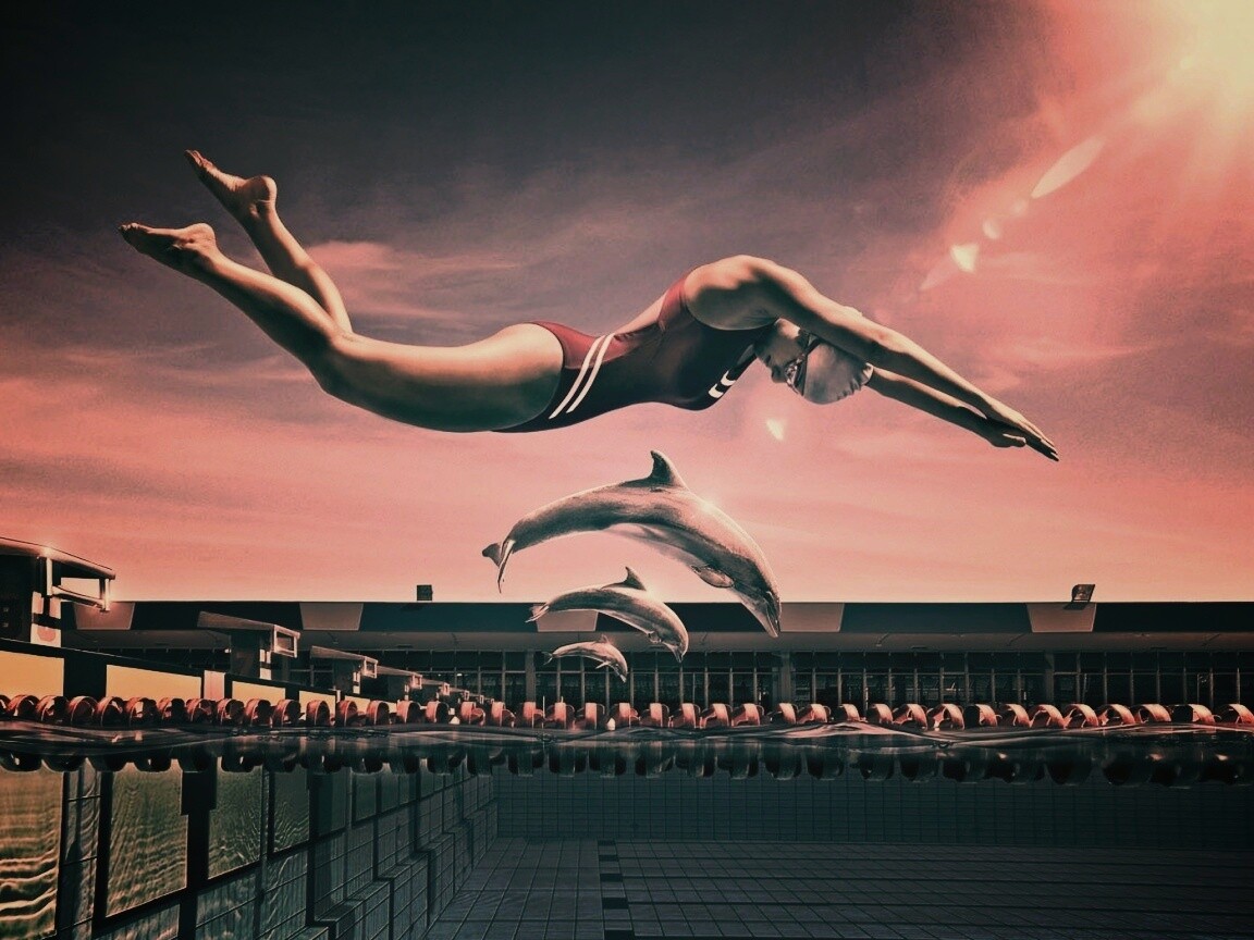 Соревнование обои