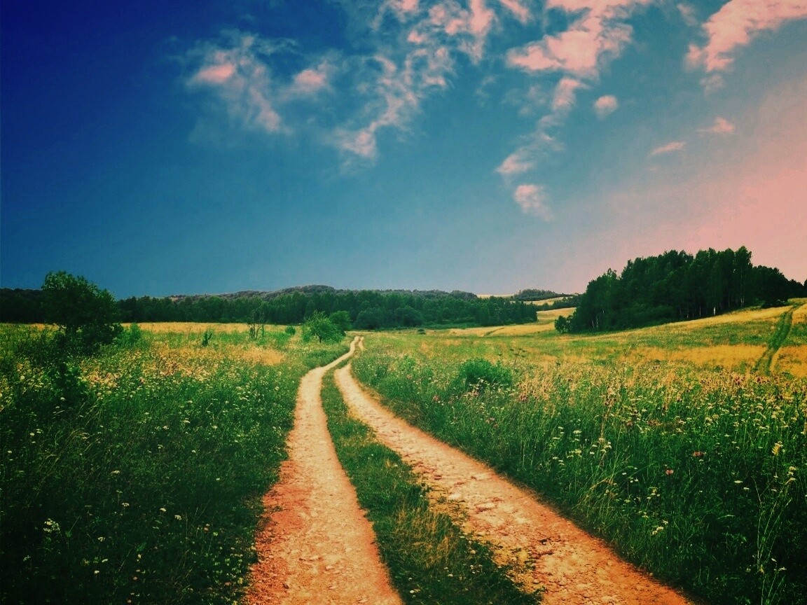 Дорога через луг обои