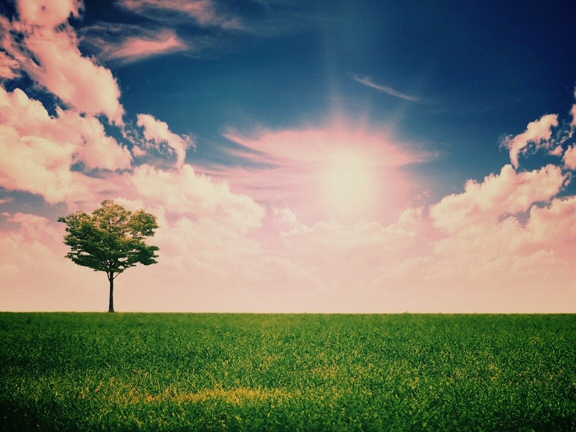 Один в целом мире обои