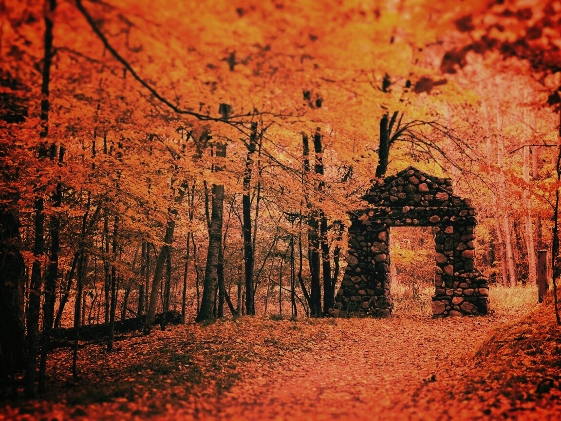 Каменная арка в осеннем лесу обои