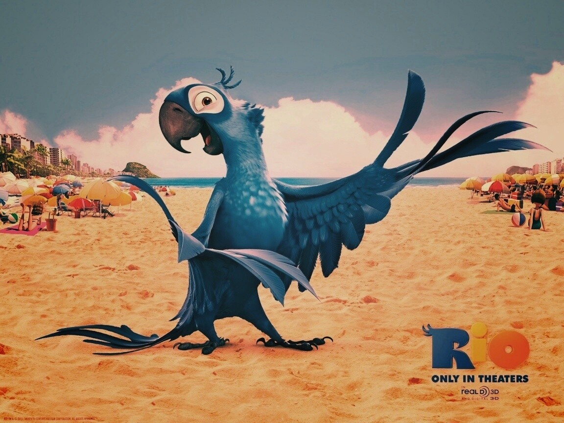 Blu из Rio обои