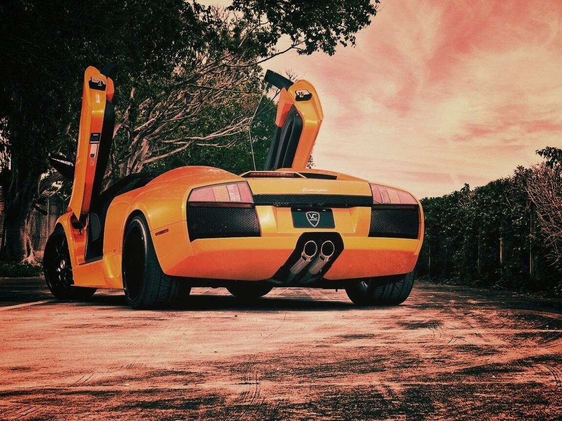 Оранжевая Мюрселаго обои