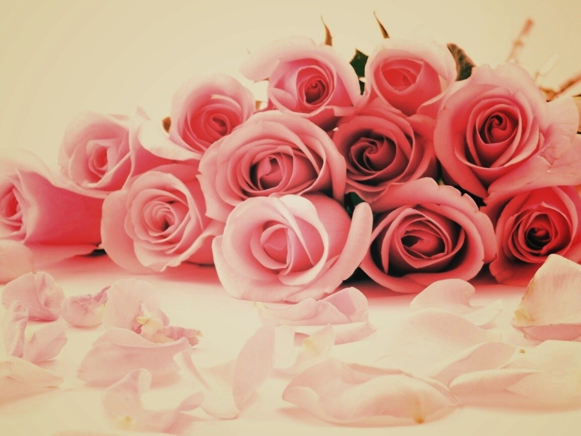 Букет роз обои
